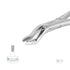 Forceps 53R : Right  Molars