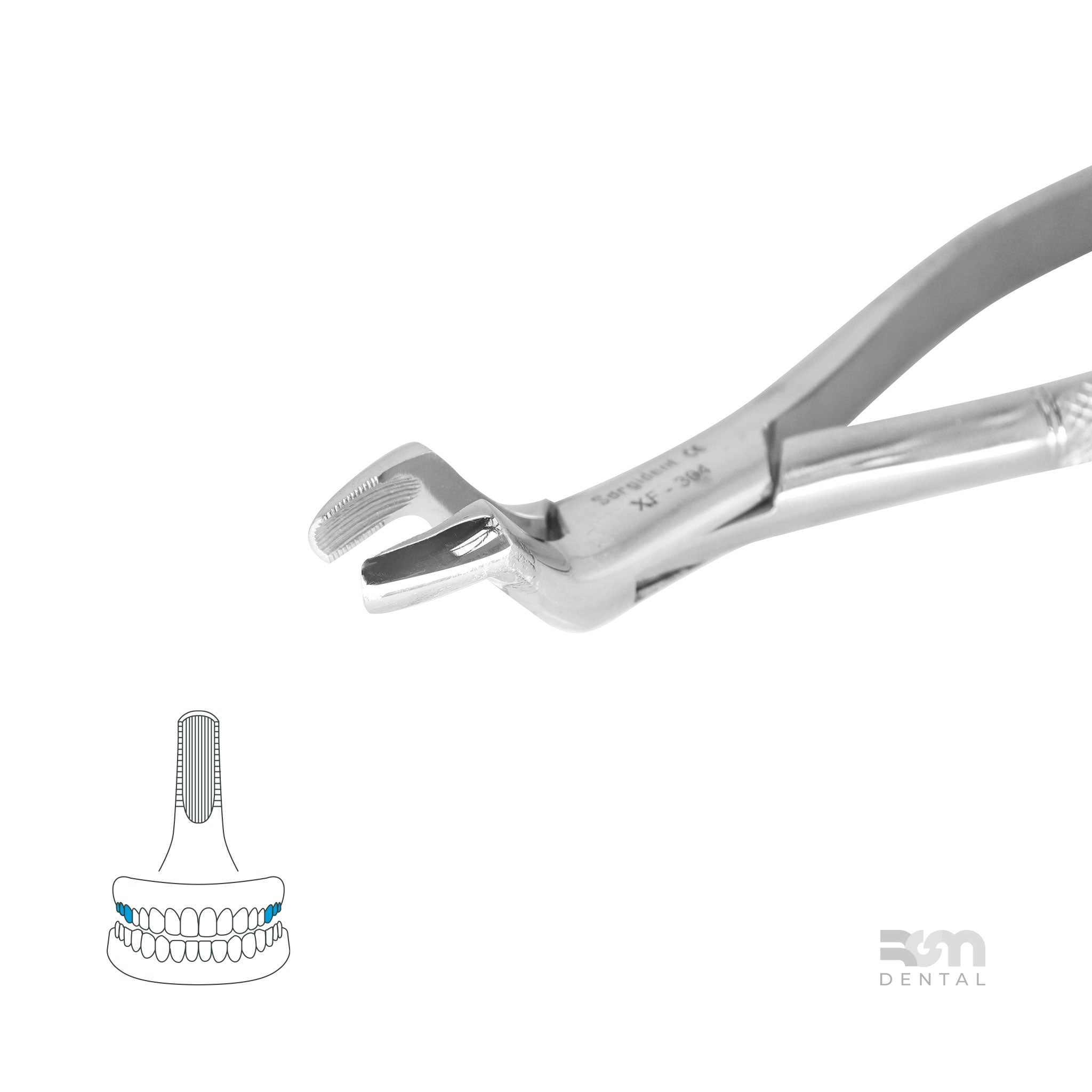 Forceps 10S : Molars and Third Molars