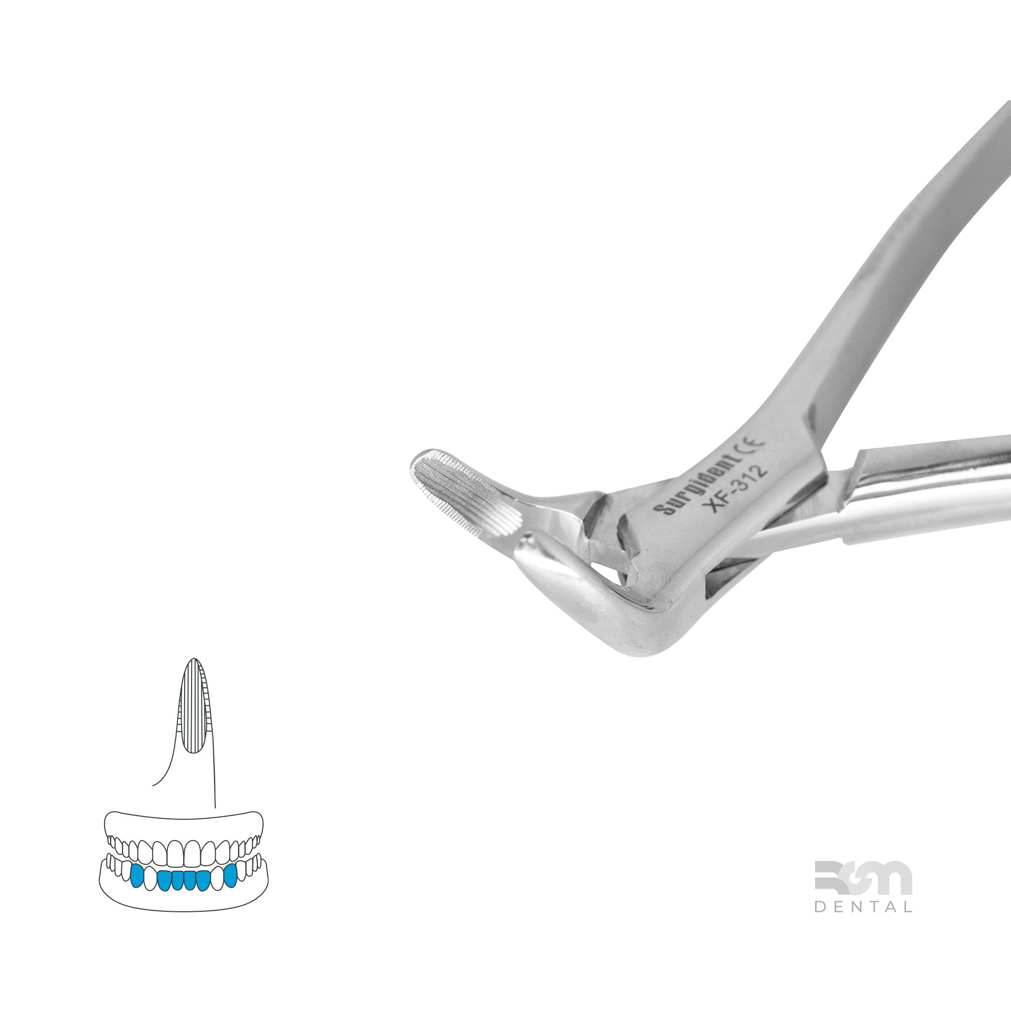 Forceps 151 : Biscuspids Incisor and Roots